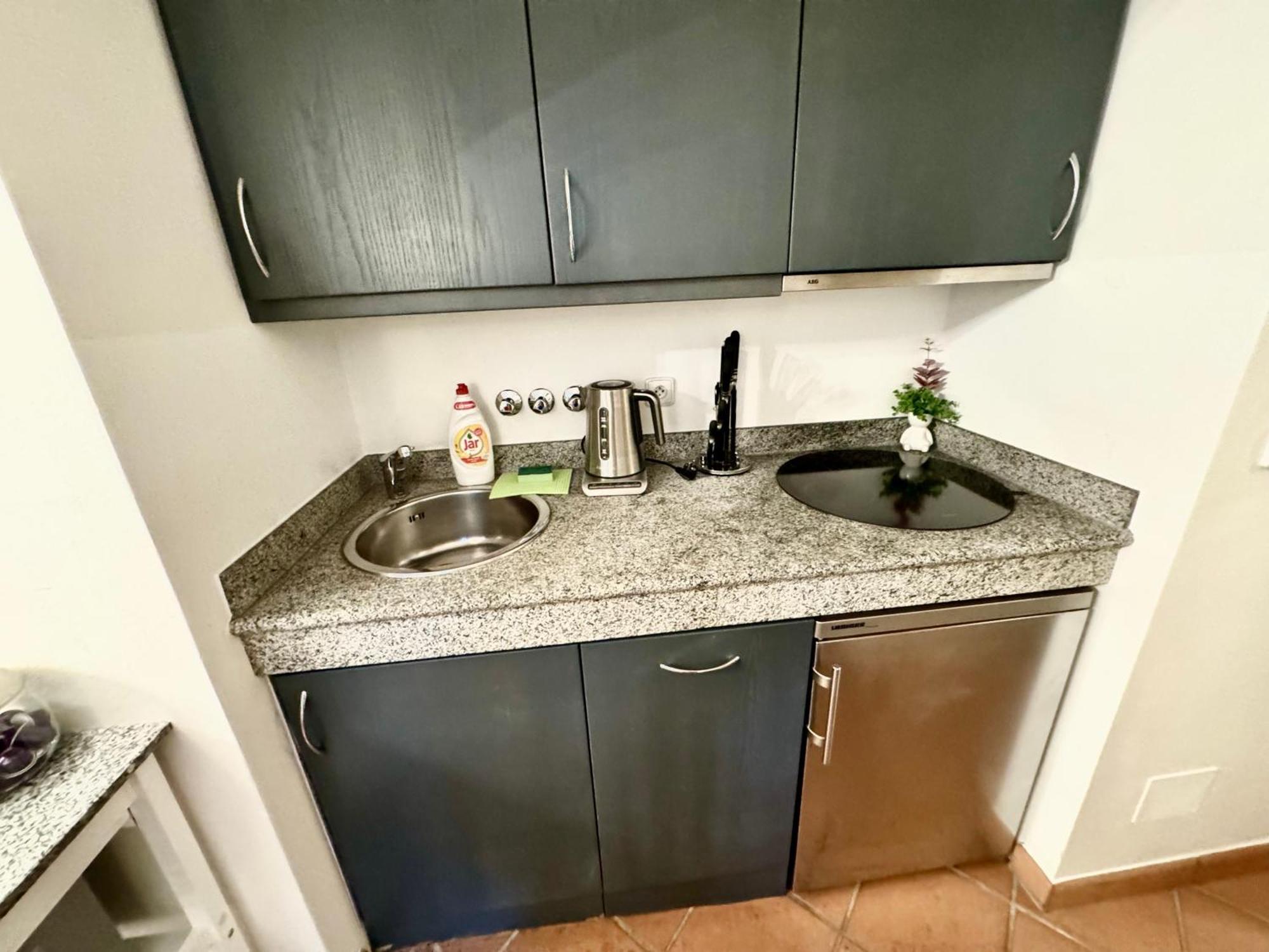Elegantsuite 1 Minut Charles Bridge Ps5 And Garden Apartment Prag